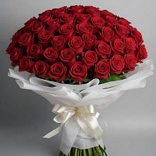 Букет 101 Красная роза Блэк Мэджик в Радужном Владимирской области