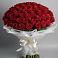 Букет 101 Красная роза Блэк Мэджик в Радужном Владимирской области