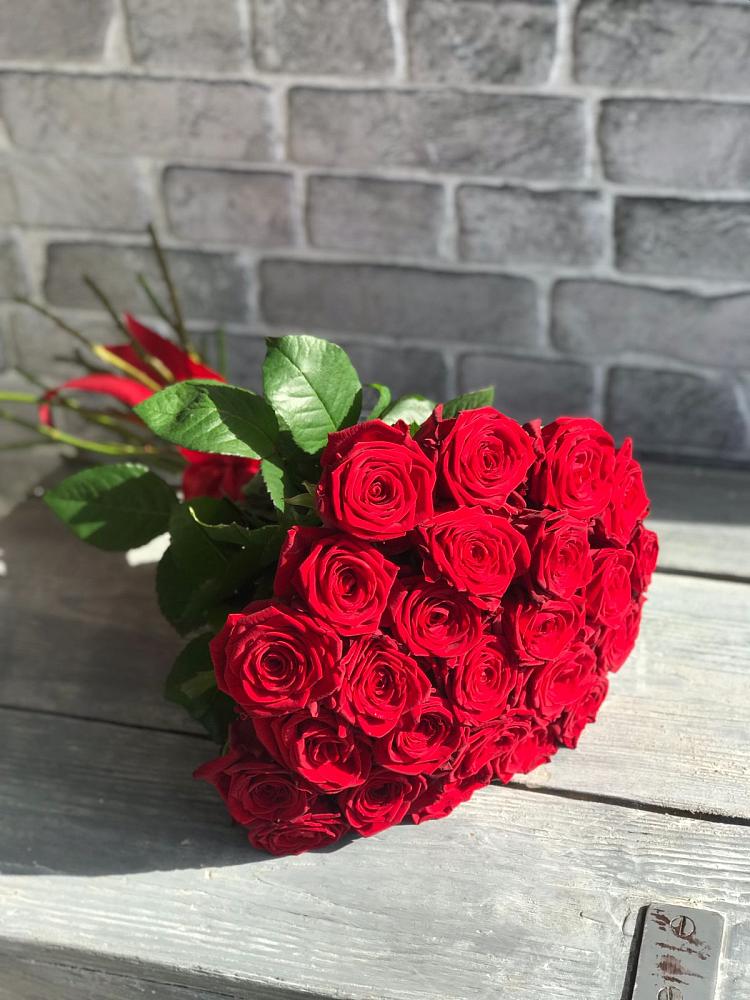 Букет Красные розы Фридом в Радужном Владимирской области