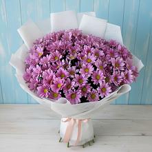 Букет цветов из:  Хризантемы #REPLACE_PRED# Радужном Владимирской области