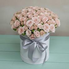 Цветочная композиция из Розы в шляпной коробке в Радужном Владимирской области