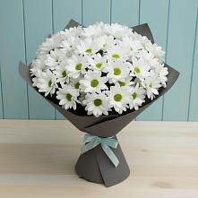 Букет цветов из:  Хризантемы в Радужном Владимирской области