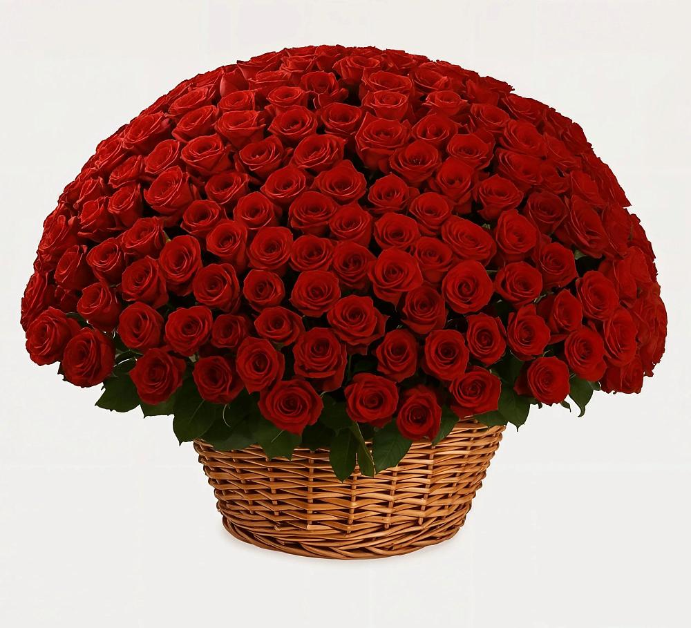 Премиум букет из: Розы в Радужном Владимирской области