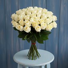 Букет 51 Белая роза Эдлесс Лав #REPLACE_PRED# Радужном Владимирской области