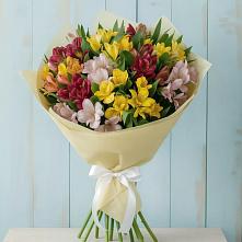 Букет цветов из:  Альстромерии #REPLACE_PRED# Радужном Владимирской области