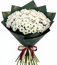 Букет цветов из:  Хризантемы #REPLACE_PRED# Радужном Владимирской области