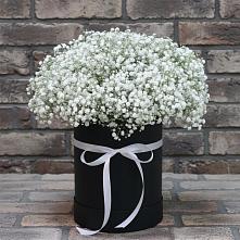 Цветочная композиция из Гипсофила в шляпной коробке в Радужном Владимирской области